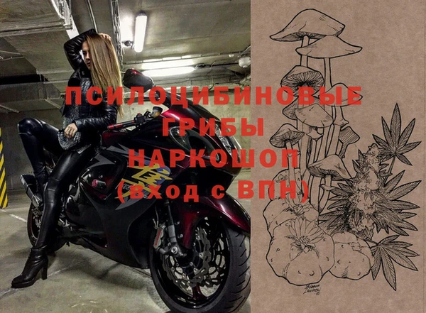 тгк Аркадак